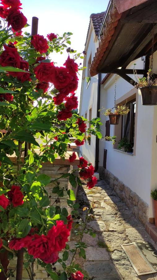 Penzion Chlumec Εξωτερικό φωτογραφία